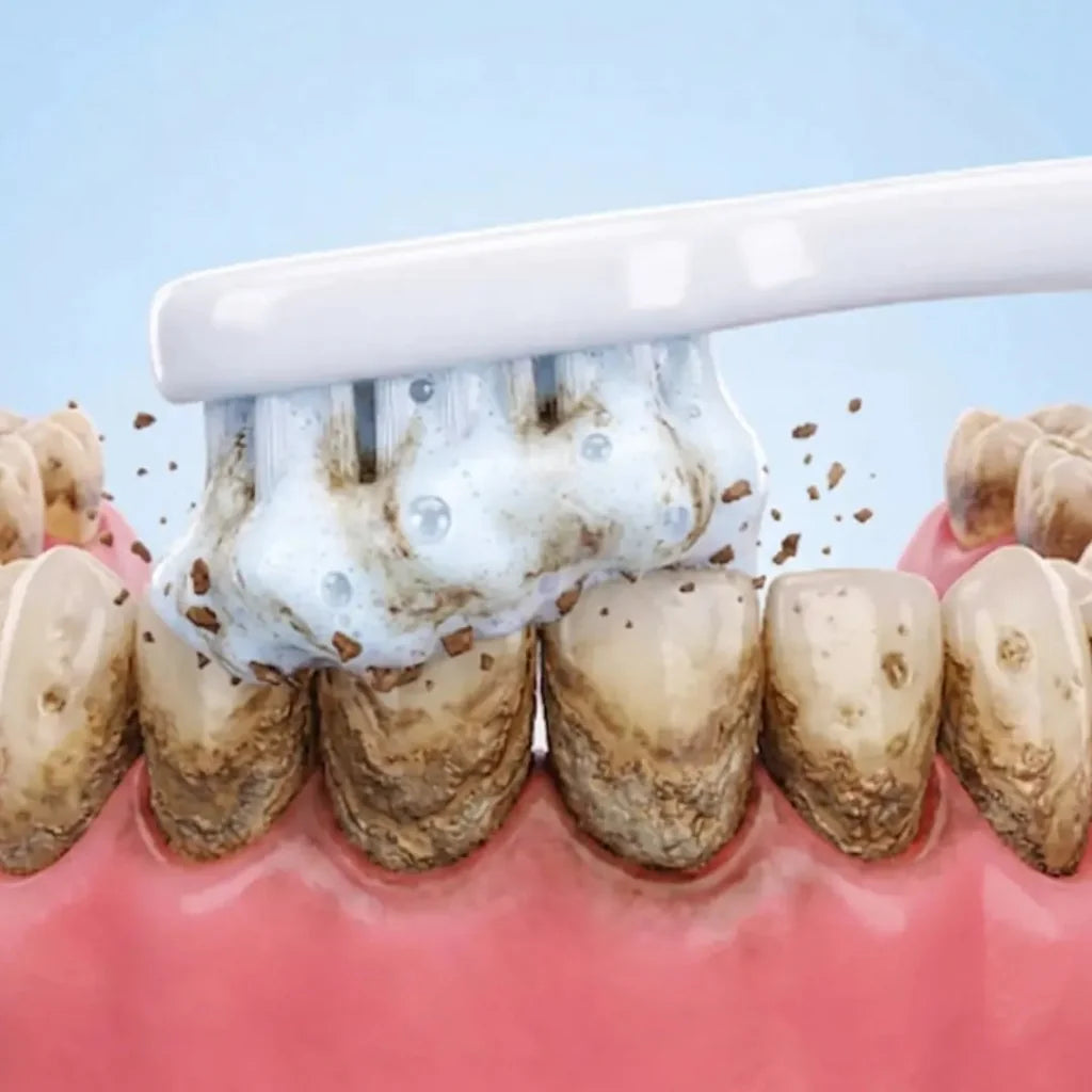 Illustration: brushing Smile Dew powder as a light paste